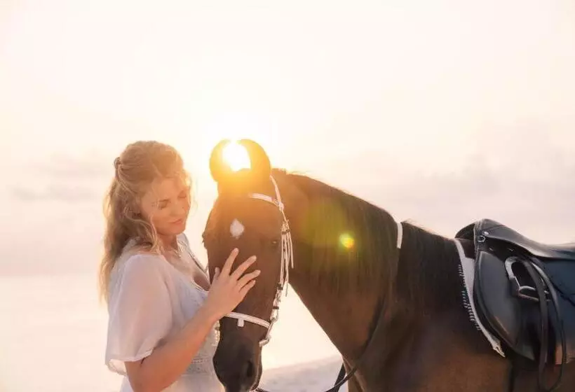 Lomakeskus Siyam World Maldives   24 Hour Premium All Inclusive With Free Transfer