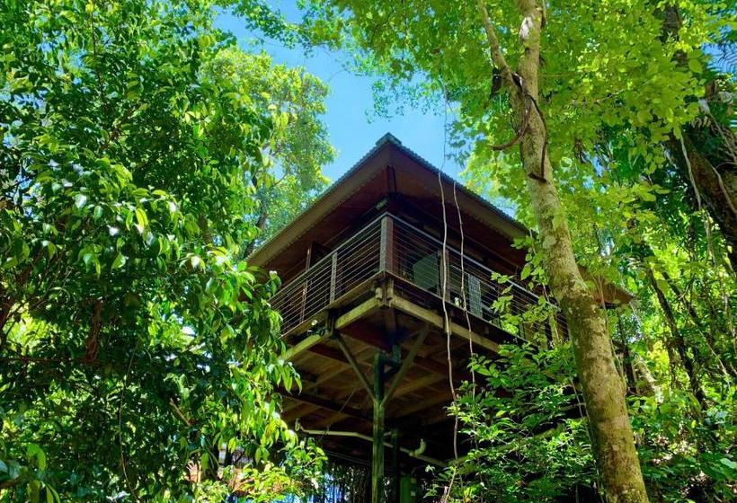 민박 Cairns Rainforest Retreat