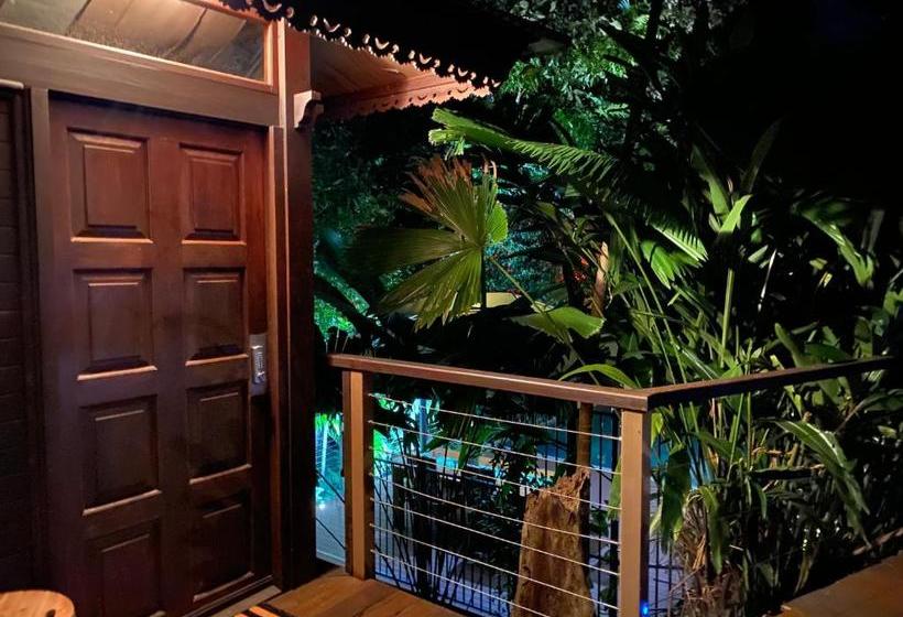 민박 Cairns Rainforest Retreat