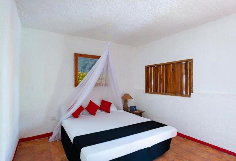 فندق México Creo En Ti