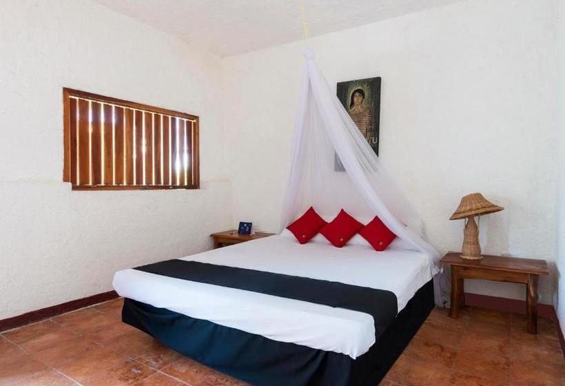 فندق México Creo En Ti