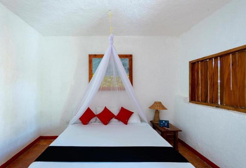 فندق México Creo En Ti