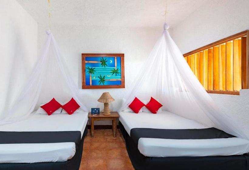 فندق México Creo En Ti