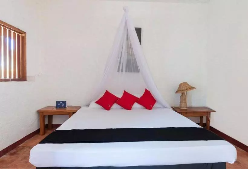 ホテル México Creo En Ti