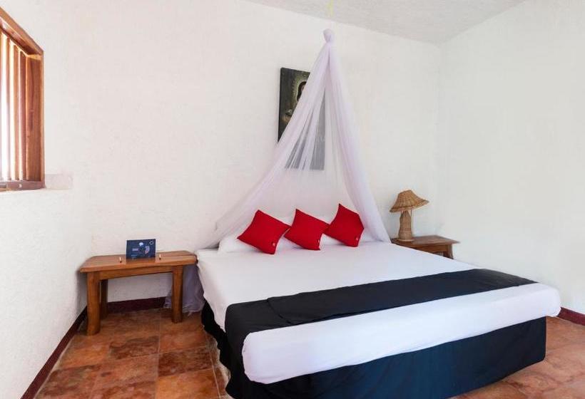 فندق México Creo En Ti