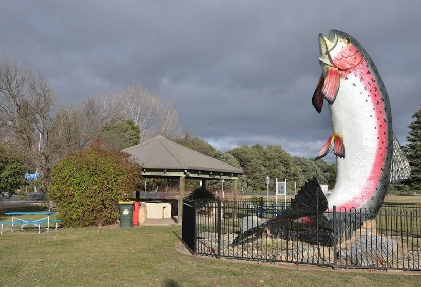 ホテル Selwyn Star Lodge