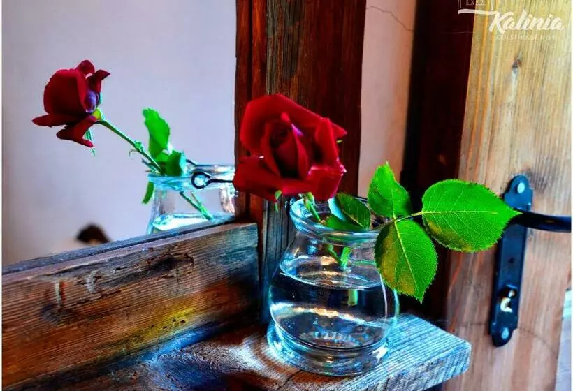 Kalinia Guesthouse B&b