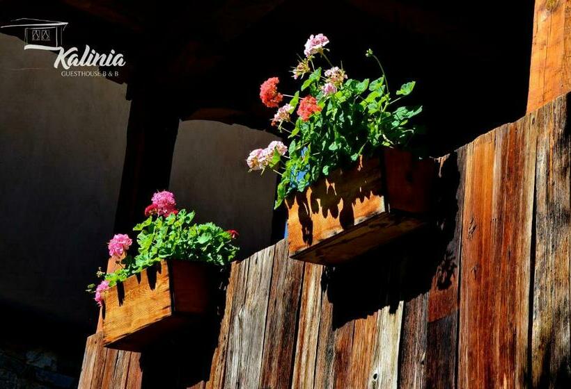 Kalinia Guesthouse B&b