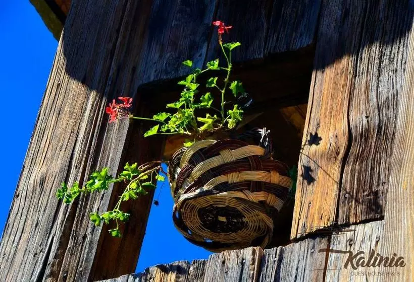 Kalinia Guesthouse B&b