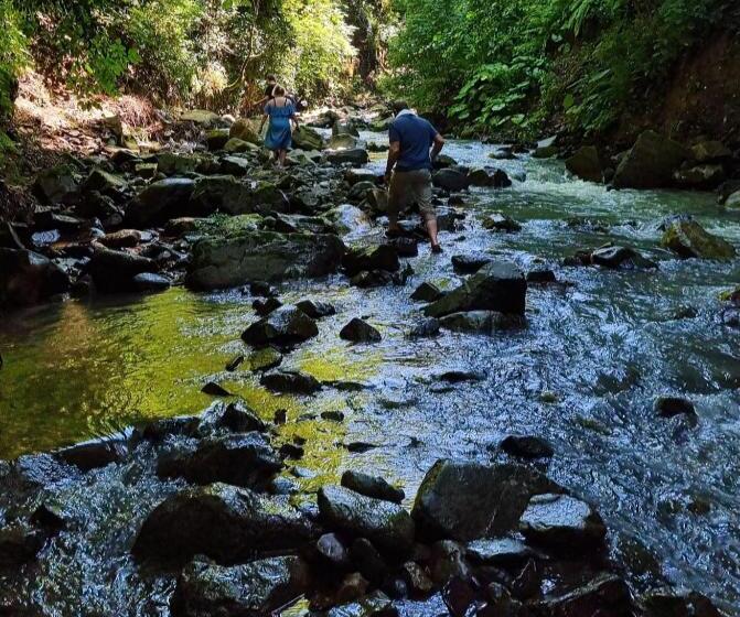 پانسیون Iveri House