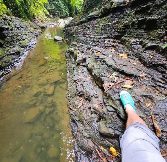 پانسیون Iveri House