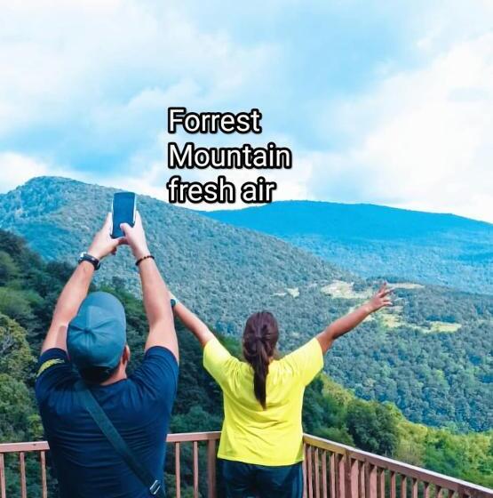 پانسیون Iveri House