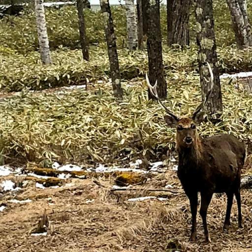 بنسيون Star Resort Spica