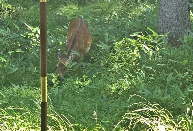 بنسيون Star Resort Spica