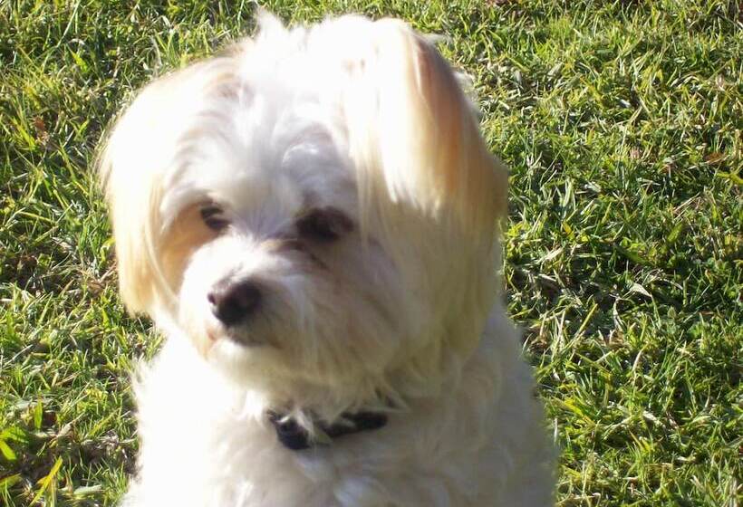 Общежитие Colonial Inn Guest Rooms