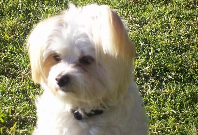 Retkeilymaja Colonial Inn Guest Rooms