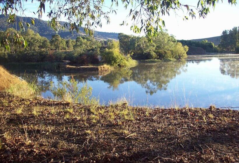 Общежитие Colonial Inn Guest Rooms