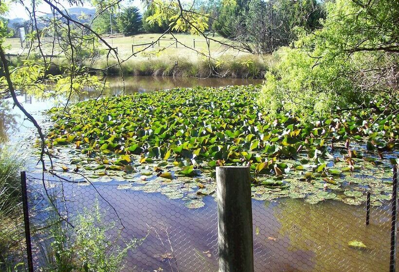 Общежитие Colonial Inn Guest Rooms