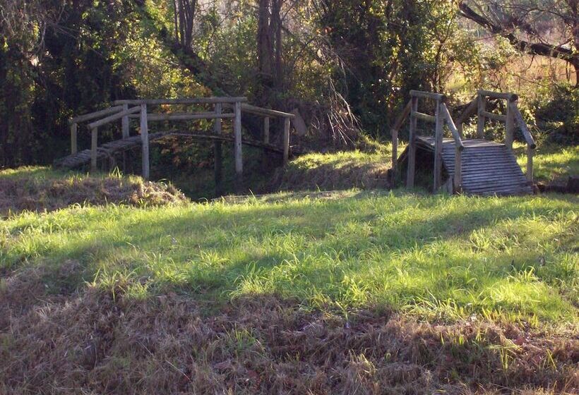 Общежитие Colonial Inn Guest Rooms