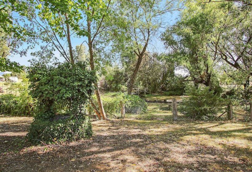 Общежитие Colonial Inn Guest Rooms