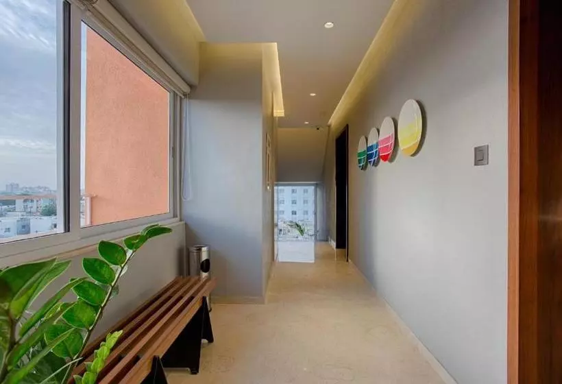 هاستل The Elements