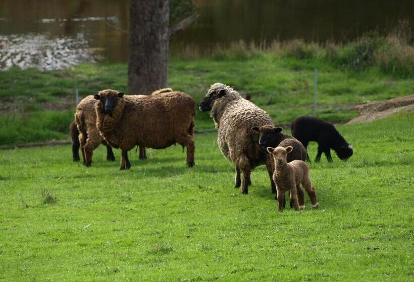 住宿加早餐  Rickaty On Blackwood