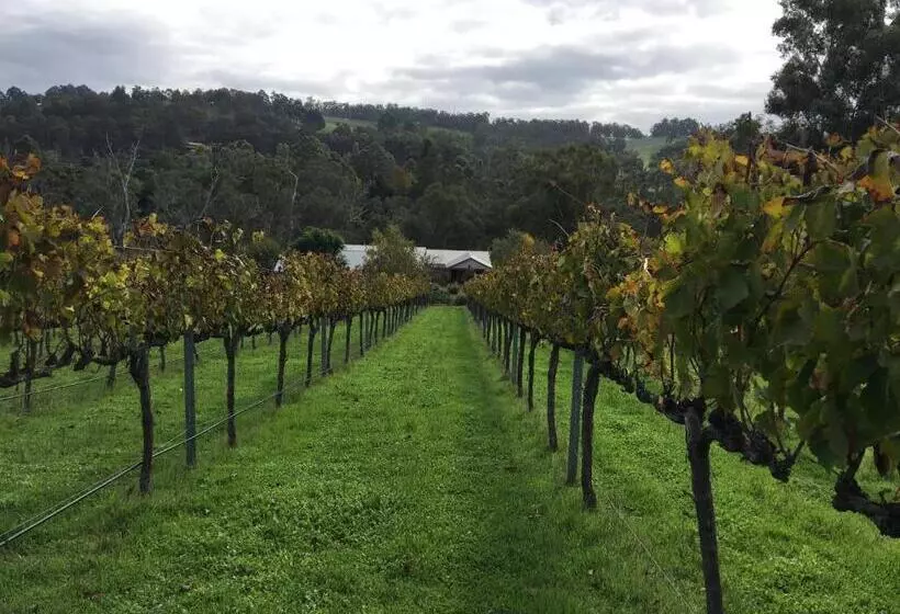 ベッドアンドブレックファースト Rickaty On Blackwood