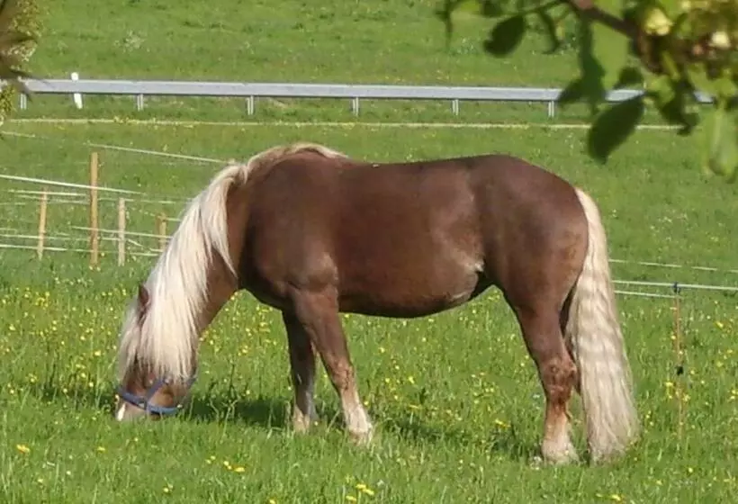 Hotelli Feriengasthof Löwen