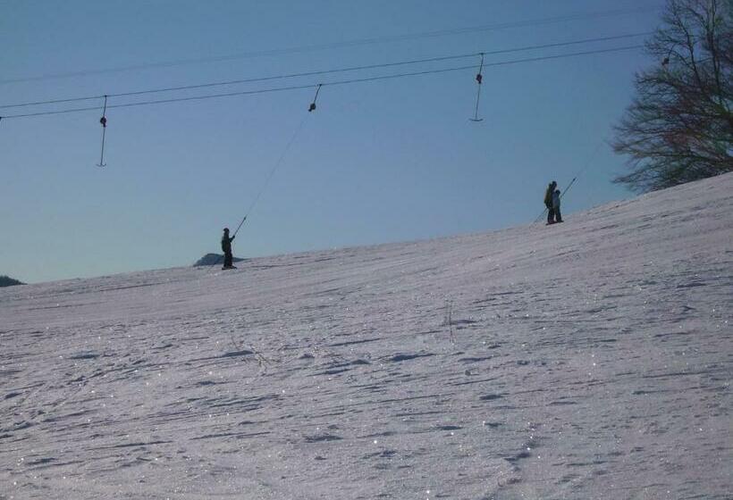 Отель Feriengasthof Löwen