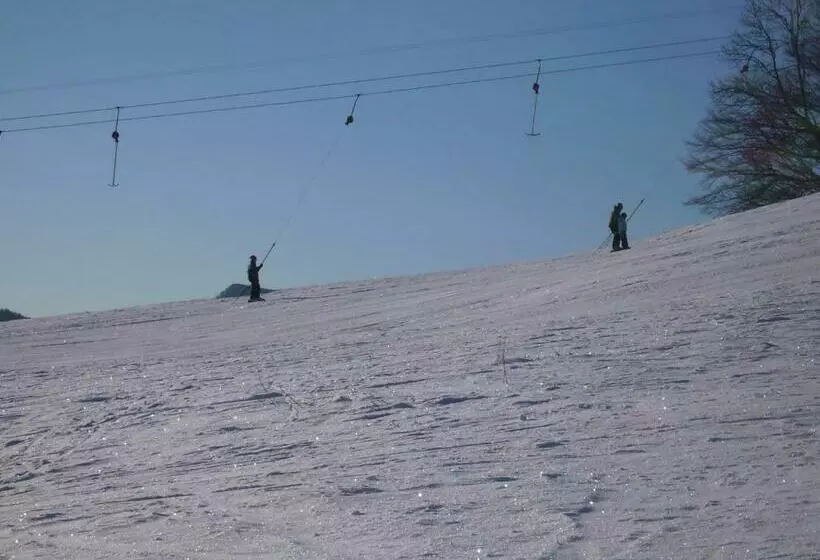 Hotelli Feriengasthof Löwen