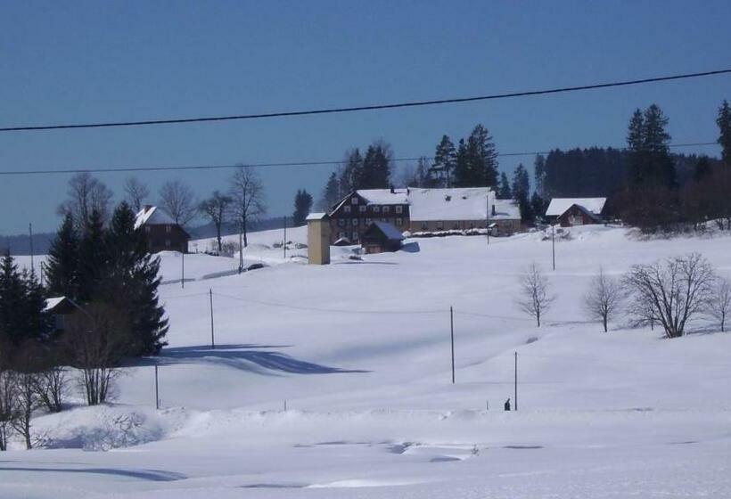 Отель Feriengasthof Löwen