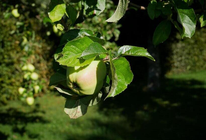 Отель Feriengasthof Löwen