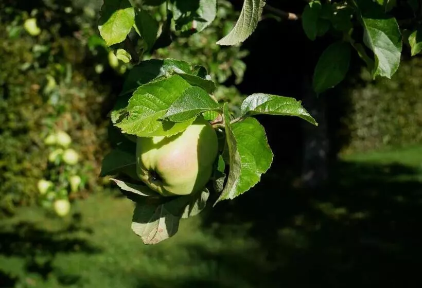 Hotelli Feriengasthof Löwen