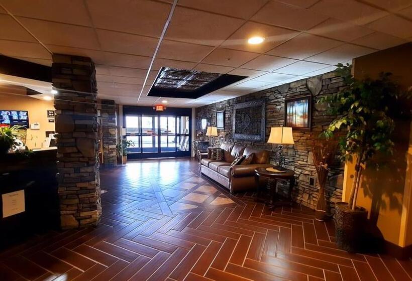 בית מלון כפרי Stonebrook Lodge Bryson City