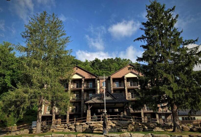 בית מלון כפרי Stonebrook Lodge Bryson City