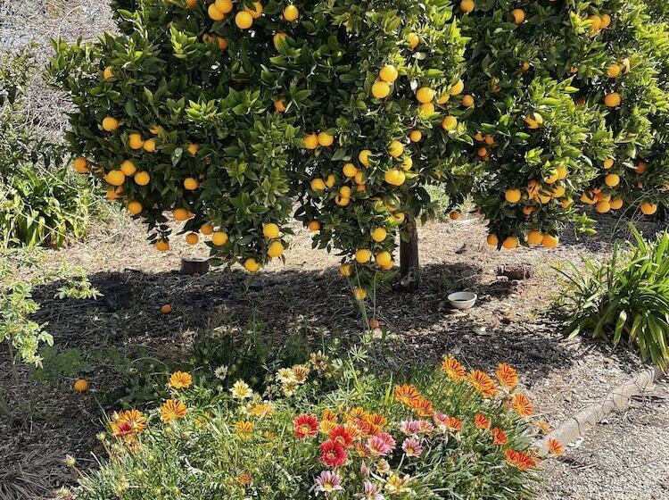 فندق على الطريق Byer Fountain Motor Inn