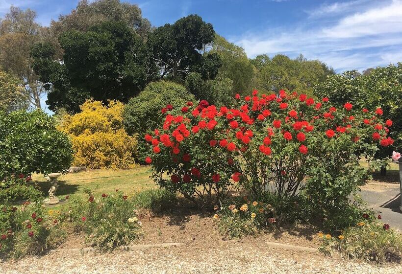 فندق على الطريق Byer Fountain Motor Inn