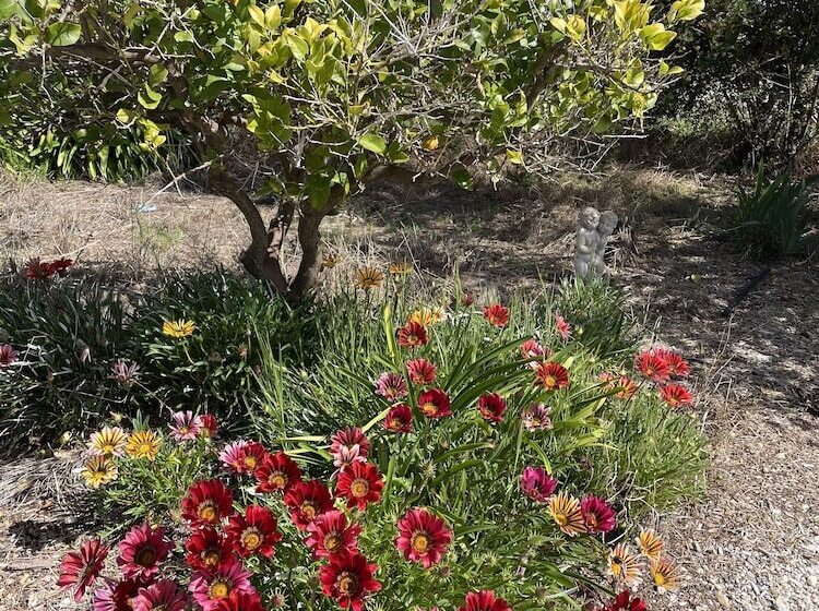 فندق على الطريق Byer Fountain Motor Inn