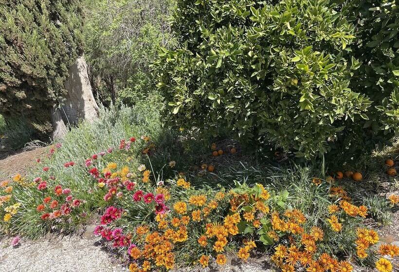 فندق على الطريق Byer Fountain Motor Inn