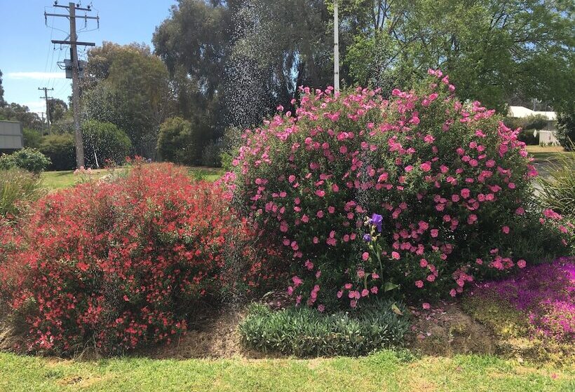 فندق على الطريق Byer Fountain Motor Inn