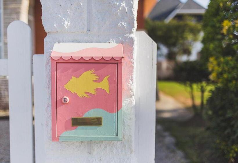 فندق صغير El Pez Escorpion