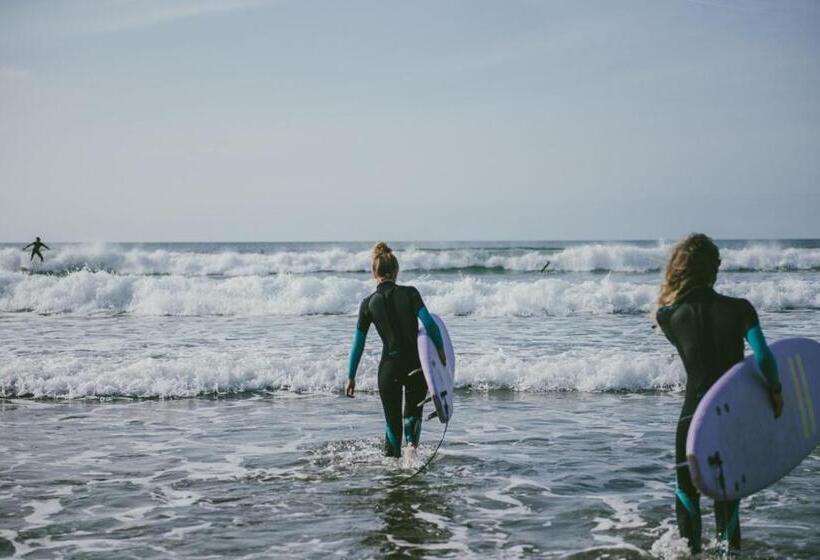 فندق صغير El Pez Escorpion