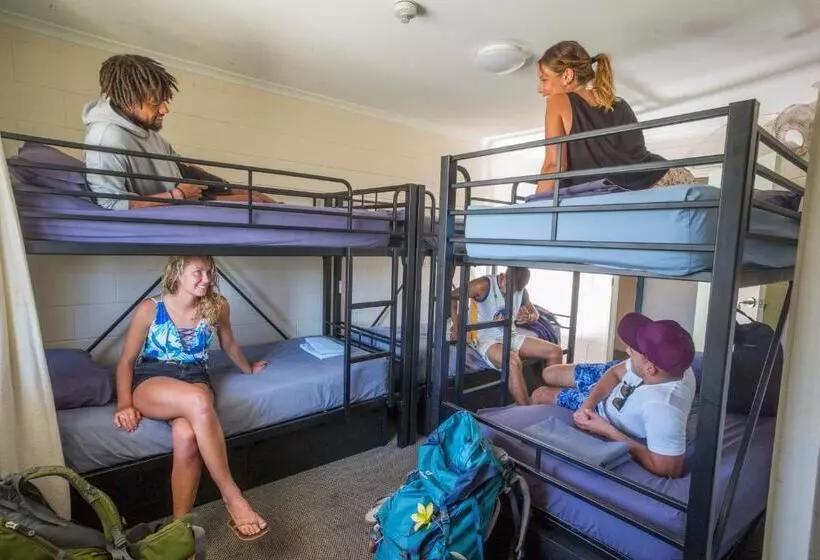 ユースホステル Manta Lodge Yha & Scuba Centre