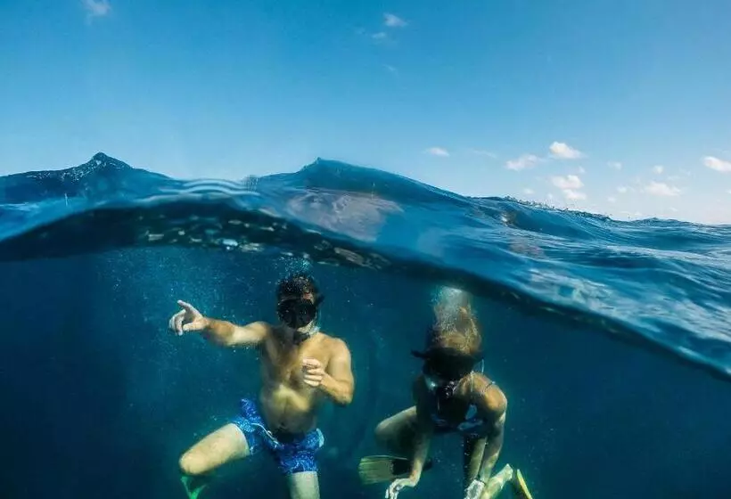 ユースホステル Manta Lodge Yha & Scuba Centre