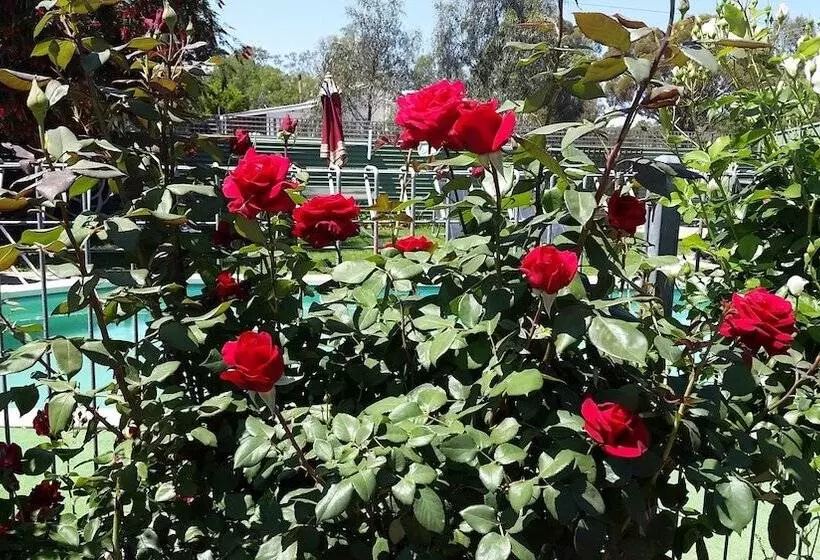 Barham Colonial Motel