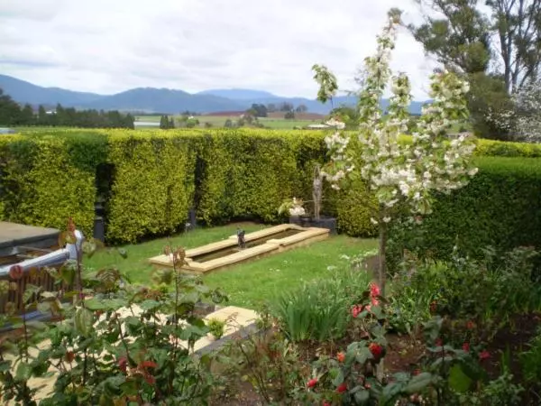 Aamiaismajoitus (B&B) Willow Lodge