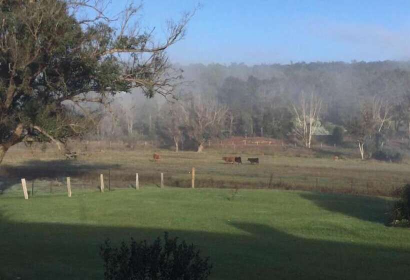 Мотель Blackwood Valley Suites