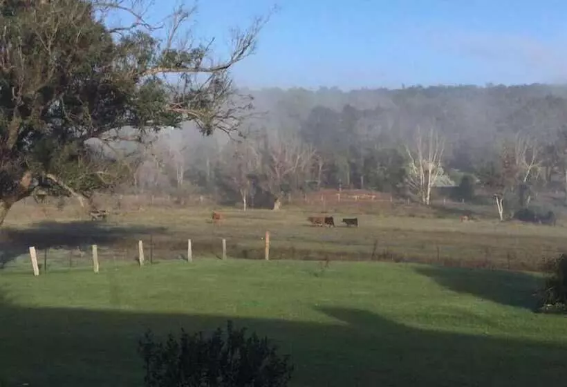 モーテル Blackwood Valley Suites