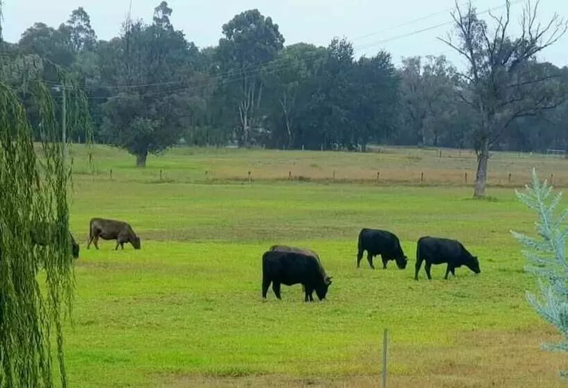 モーテル Blackwood Valley Suites