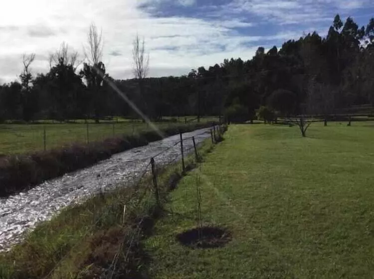 モーテル Blackwood Valley Suites